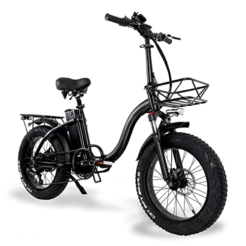 E Bike Fat Reifen 20'* 4' Mit 48V 15Ah Batterie, E-Bike für Herren und Damen, Long Range City Mountain Bicycle, Mountainbike
